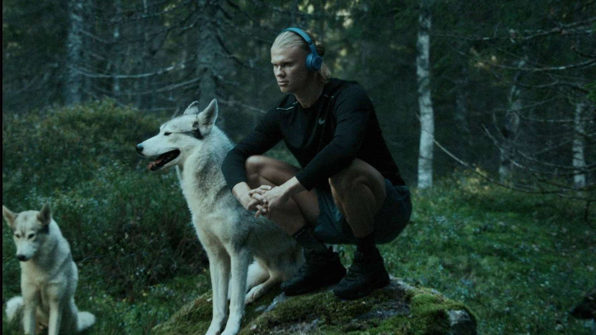 在主場逆轉 在主場逆轉